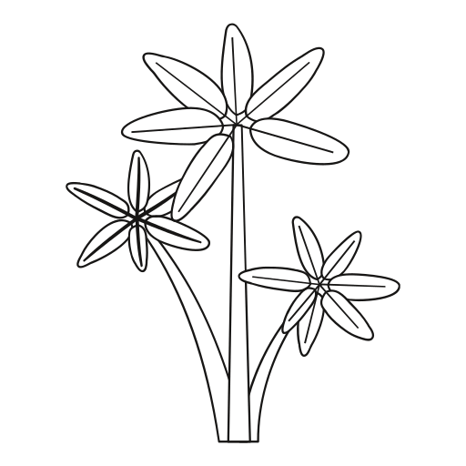 flower-pattern